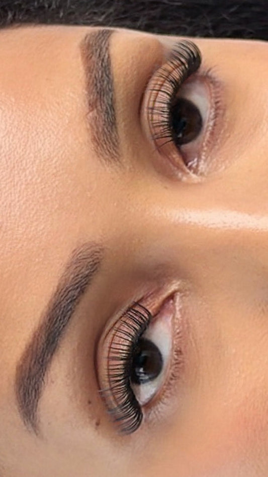 Sleek Chic DIY Lash Kit – Natural Classic (D Curl)